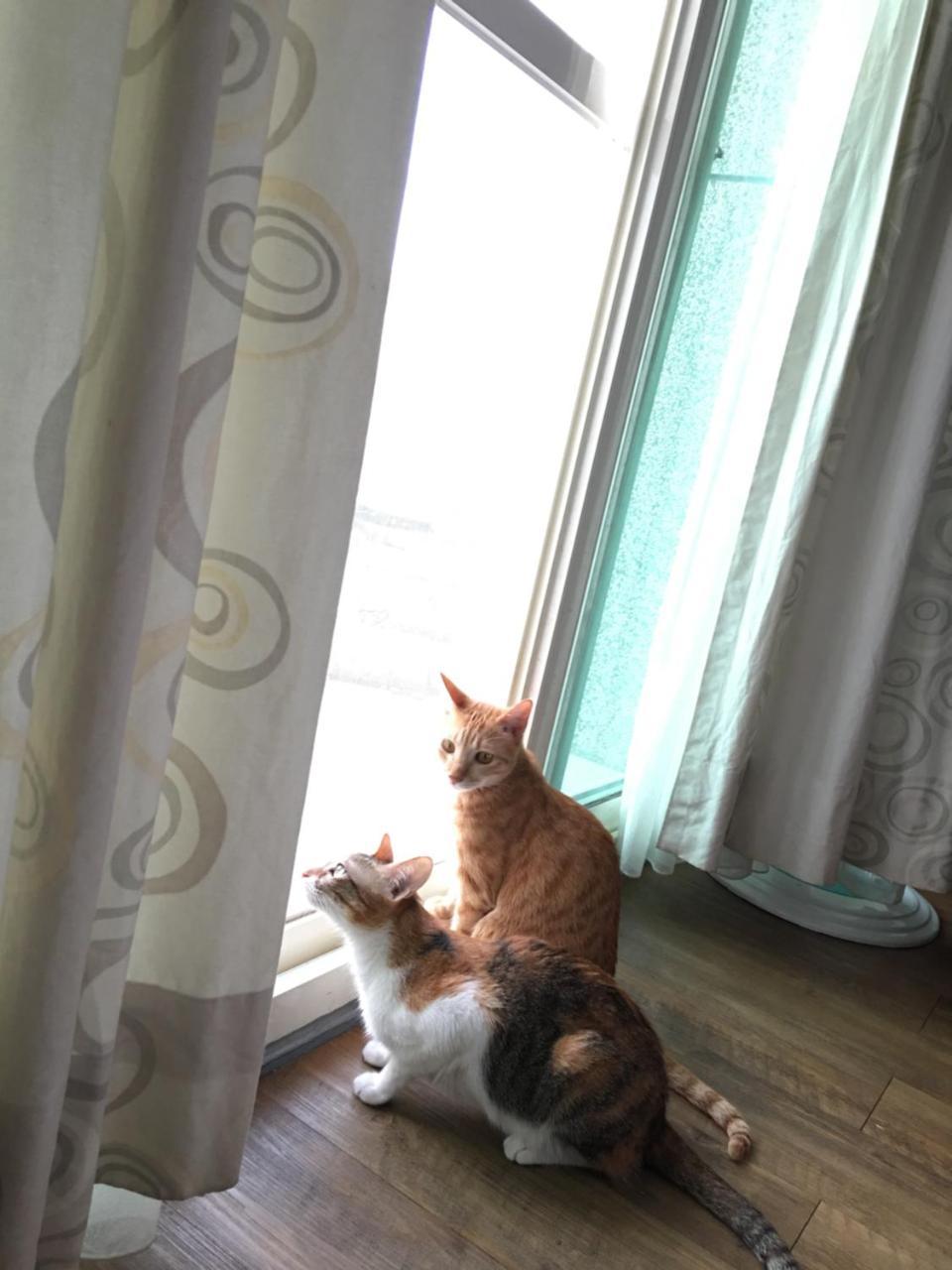 Beauty Home Homestay Hualien Buitenkant foto